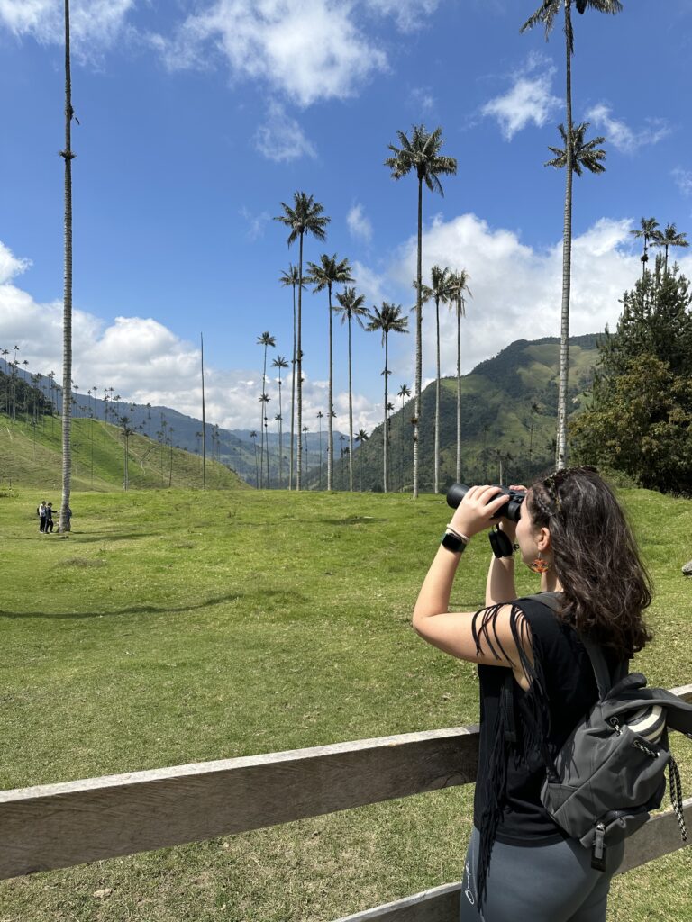 Cocora Valley, Colombia 2023