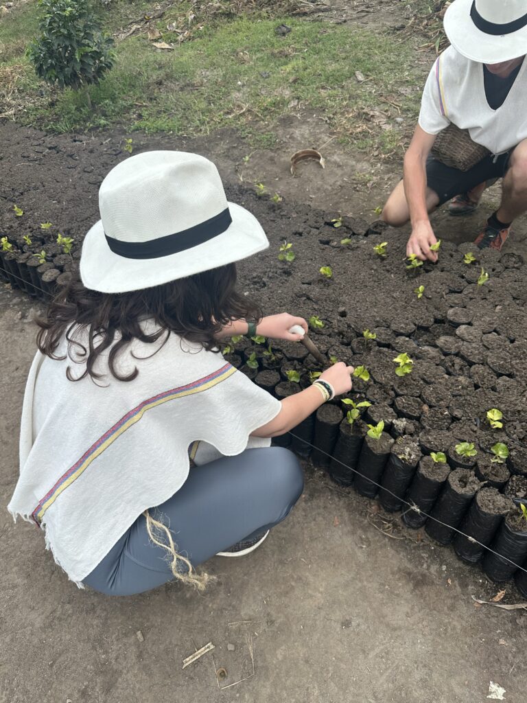 Ferma e Kafes, Mbjellja e Kafes, Salento, Kolumbi, Shkurt 2023