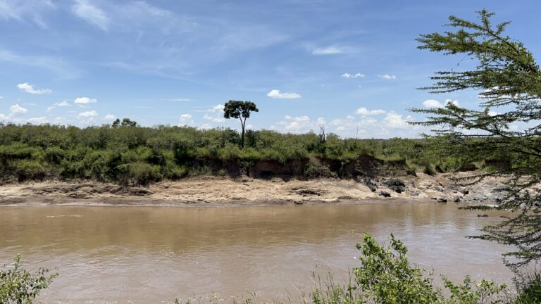 Maasai Mara, Kenya 2024