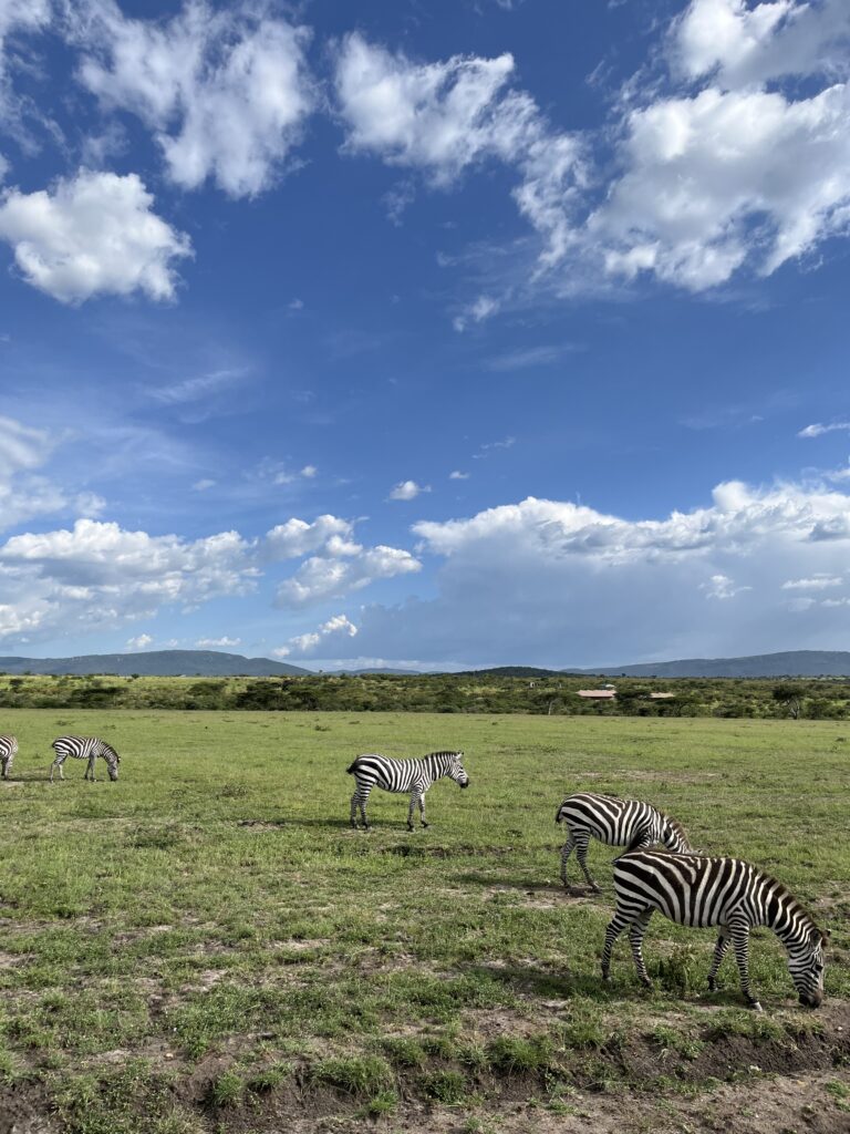 Maasai Mara, Kenya 2024
