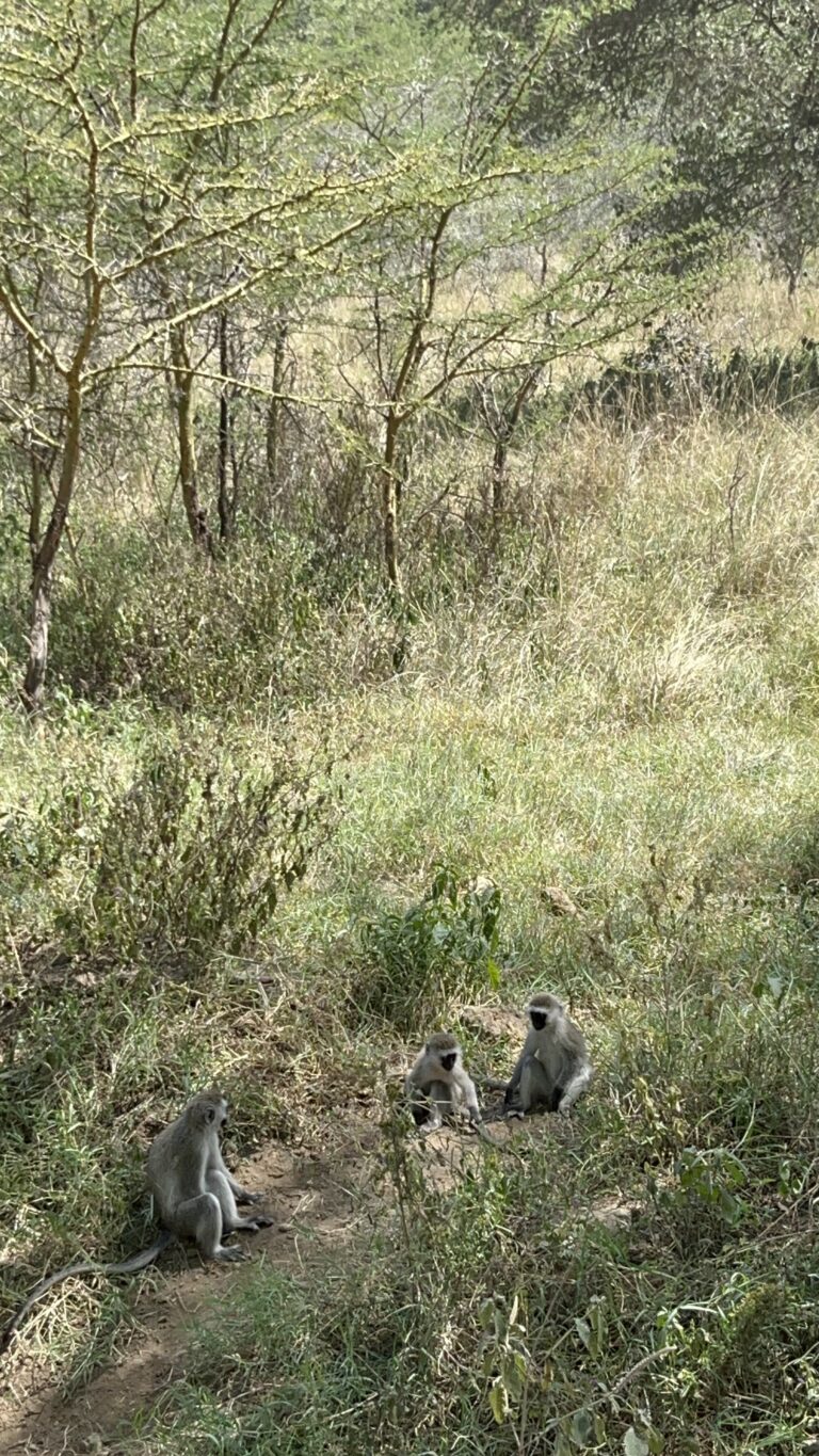 Nakuru National Park, Kenya 2024