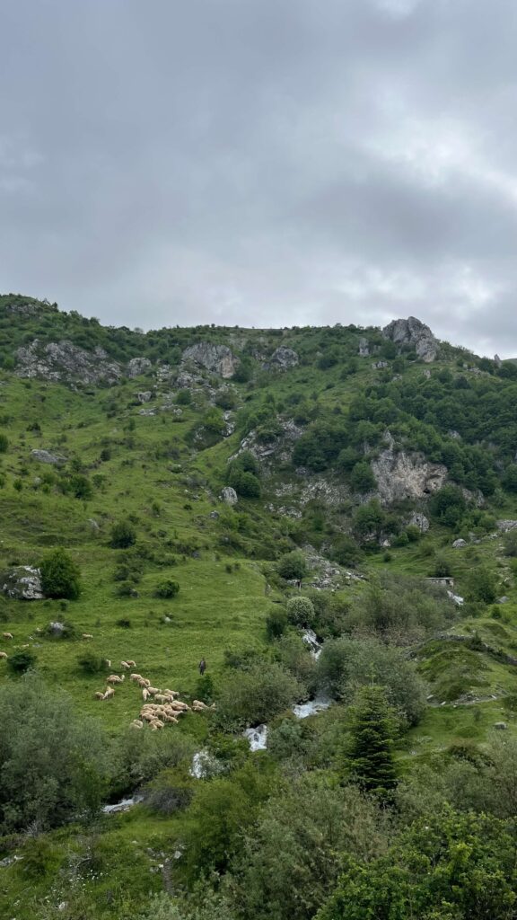 Korab trail, 2024