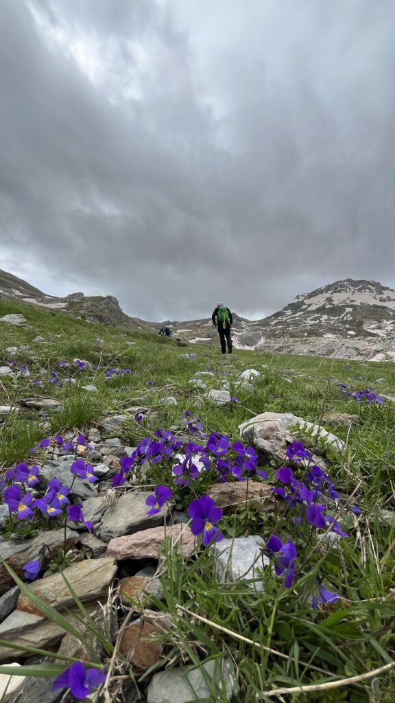 Korab trail, 2024