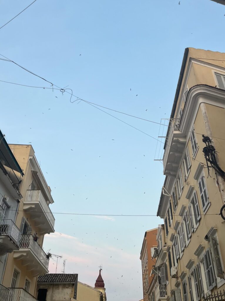 Old Town, Corfu, July 2024