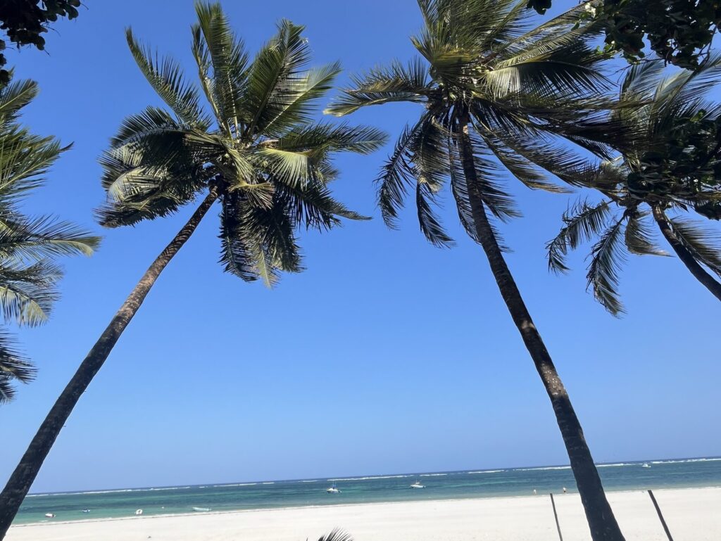 Diani, Kenya -February 2024