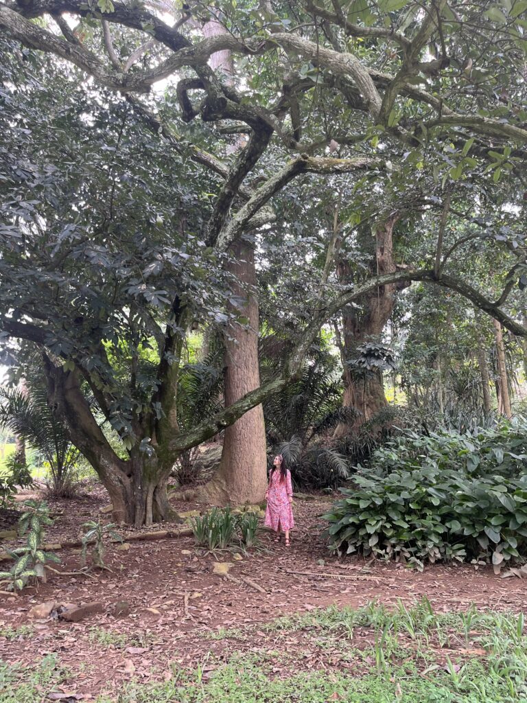 Botanical Garden, Entebbe, Uganda, February 2024