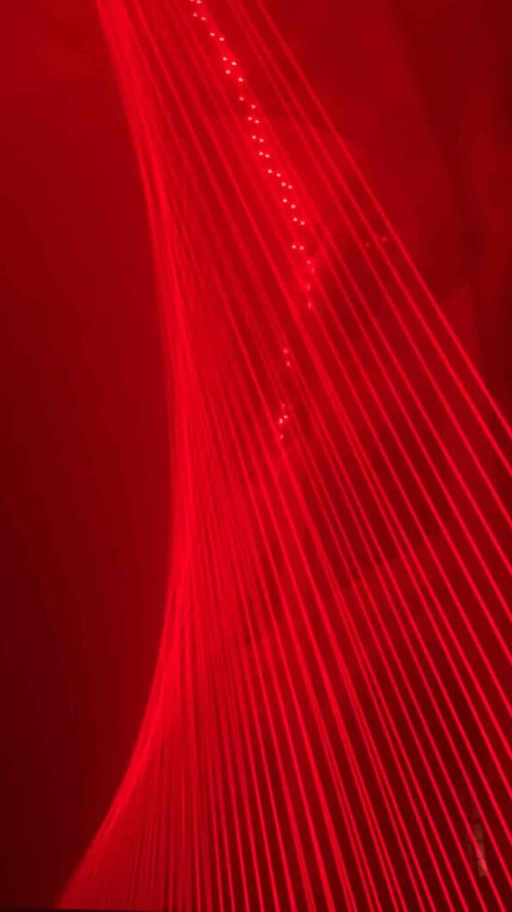 Light Festival